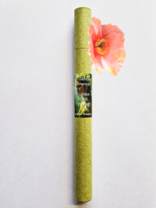 GaNS Wierook Nag Forest